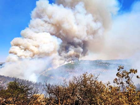 WhatsApp Image 2021-08-16 at 3.57.55 PM.jpeg.jpg